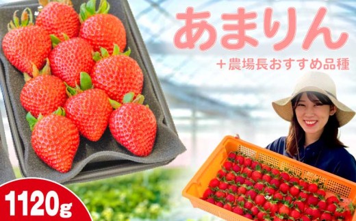 yʌHszyOtz ܂ +_꒷ߕi 1120g (280g×4P)  Hה C`S Xgx[ Yn n ʕ  t[c fU[g Hi ① 񂫔_