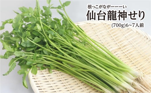 y{錧szyԌzȂ[[[@䗴_(700)6`7lO