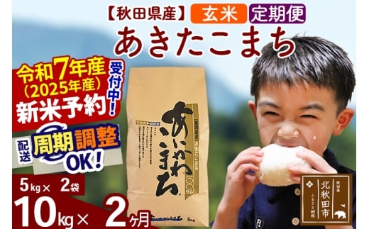 yHckHcszߘa7NY Vė\񁦁s2tHcY ܂ 10kgyāz(5kg) 2025NY ͂Iׂ ͂\ uɒOK  _Y