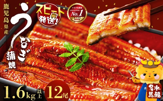 yuzuszyʌzYȂ V 12(1120gȏ)v1.6kgȏい f2-003