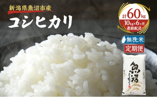 yVsz[5762-1247]yցFፑi    10kg×6zz㋛    YRVqJ