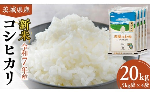 y錧}szy ߘa7NY z 錧Y RVqJ 20kg ( 5kg × 4 )    R Ђ 錧  V  V [DK004ci]