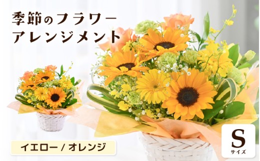 y䌧szIׂJ[ G߂̃t[AWg S (CG[EIW) y t[ AWg ԑ Mtg  v[g ԑ  LO jz [A-20701_02]