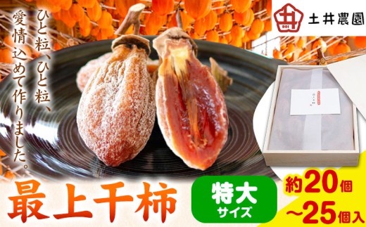 yR|zŏ㊱`  TCY (20`25) y_ s12{1{ɏoח\(yj)t`  ` ʕ t[c hCt[c َq  R |