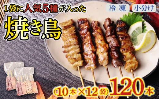 yVVcszzBw Ă 120{     ڂ񂶂 5퐷 10{×12  e ₫Ƃ Ē { Ƃɂ Ƃ  {  Ă ܂  r[ BBQ Ă