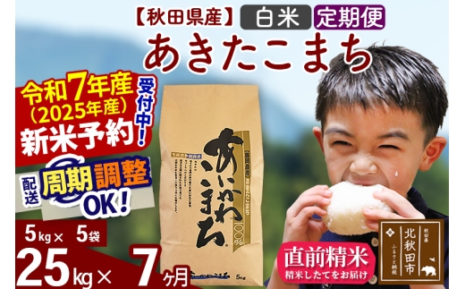 yHckHcszߘa7NY Vė\񁦁s7tHcY ܂ 25kgyāz(5kg) 2025NY ͂Iׂ ͂\ uɒOK  _Y