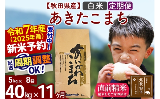 yHckHcszߘa7NY Vė\񁦁s11tHcY ܂ 40kgyāz(5kg) 2025NY ͂Iׂ ͂\ uɒOK  _Y