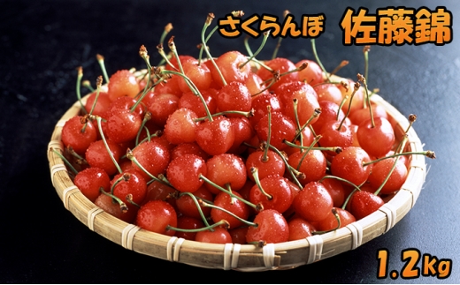 ykCmؒzst kC mؒY   1.2kgi300g×4pbNj  lC   TN{ `F[ t[c ʕ ʕ  mؒ m [JAV]