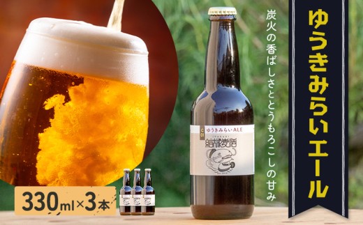 y錧szr[ 䂤݂炢G[ 330ml × 3{ Ќ锞s30ȓɏoח\(yj)t錧 s r[  G[ Ntgr[ r Y