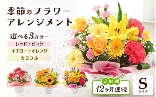 y䌧sz 12A͂ IׂJ[ G߂̃t[AWg S yJ[FbhEsN / CG[EIW / Jtz y t[ AWg