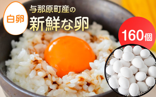 【沖縄県与那原町】与那原町産の新鮮な卵160個(白卵)_ 生卵 たまご 玉子 鶏卵 まとめ買い 卵かけご飯 朝ごはん 玉子焼き 人気 美味しい 【1408730】
