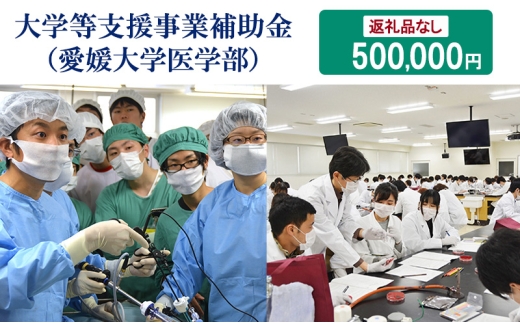 yQszy̕iȂzwxƕ⏕iQwwj@500,000~ [5303-0277]