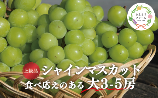 【岡山県真庭市】【2026年先行受付】【きよとうファーム】シャインマスカット 上級品 大3-5房/計2.4kg~ (岡山県産) KF-W072-01 ぶどう マスカット 真庭市 【KF-W072-01】