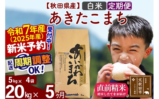 【秋田県北秋田市】※令和7年産 新米予約※《定期便5ヶ月》秋田県産 あきたこまち 20kg【白米】(5kg小分け袋) 2025年産 お届け時期選べる お届け周期調整可能 隔月に調整OK お米 藤岡農産