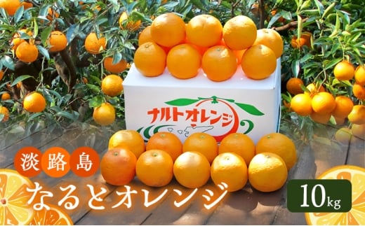 yɌF{szWHȂƃIW 10kg Ɍ F{s WH [5395-0069]