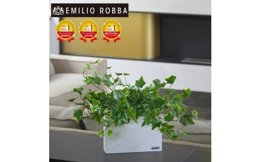 yOdszA[gt[ G~IEo  ACr[L TTTTA-02120