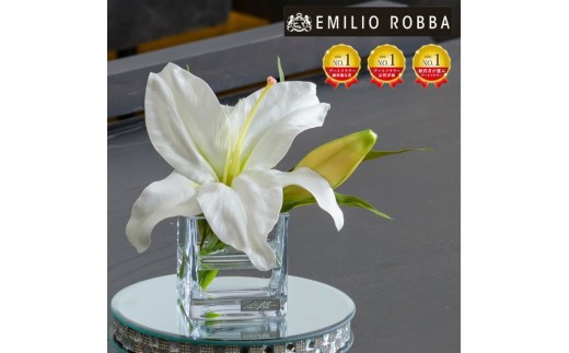 yOdszA[gt[ G~IEo  JTuJM-1 TTNTS-91100