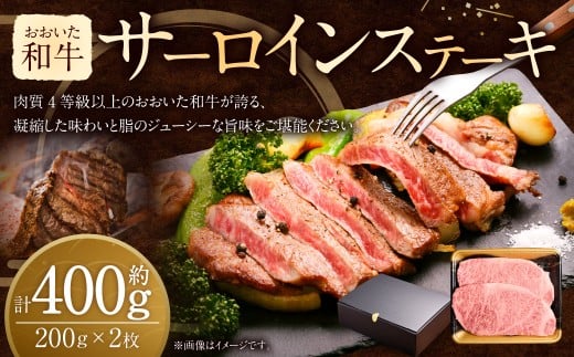 y啪|csza T[CXe[L i 200g × 2 j