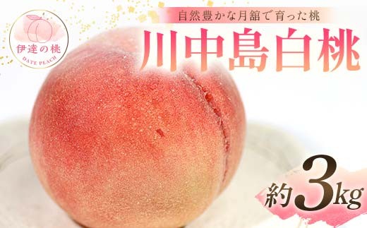 yɒBszy2026Noוs\zY 쒆 3kg (8`12) Xʎ RLȌڂň ɒB̓  t[c ʕ   momo F21C-057