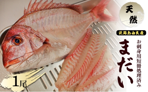 yɌF{szVR܂1 yhgpZς݁ziWHRǎY l̖ڈF3`4lOj Ɍ F{s WH [5395-0159]