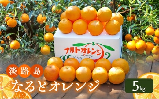 yɌF{szWHȂƃIW 5kg Ɍ F{s WH [5395-0070]