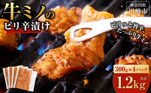 y_ސ쌧sz~m shЂ 1.2kg ( 300g × 4pbN )   ֗  z ~m ē Ă   Ă Ⓚ  t BBQ AEghA Lv lC 