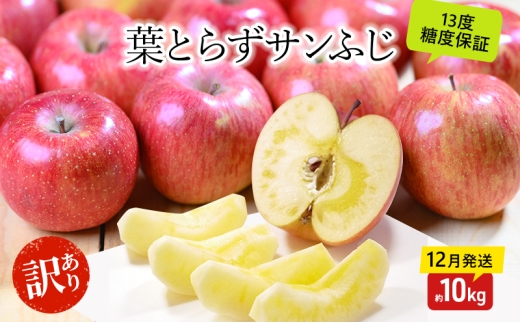 yXߓcz[5554-0326]񂲁y12E1z x13xȏ 󂠂 ƒp tƂ炸 Tӂ 10kgyX ʕ t[c fU[g H  Ynz