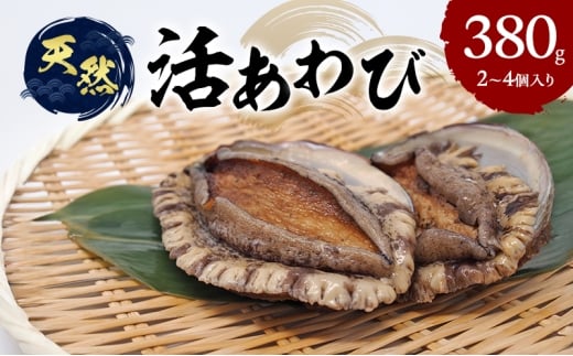 yɌF{szVR 2`4 Ɍ F{s WH [5395-0002]