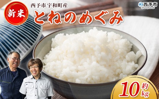 yQ\szVāߘa7NY Ƃ˂̂߂ 10kg \sFaY 10L    R  Fa V ܂  ͂ CX  Yn ΃t@[ Q