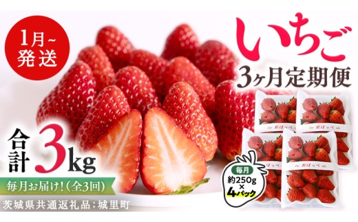 y錧΂݂炢szy  z v3kg͂  3A͂ i1F250g×4pbNj×3 y2026N1甭Jnzi錧ʕԗiF闢Yj ʕ t[c C`