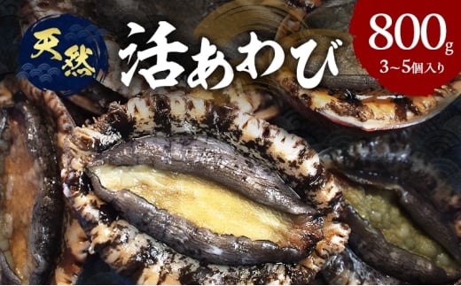 yɌF{szVR 3`5 Ɍ F{s WH [5395-0003]