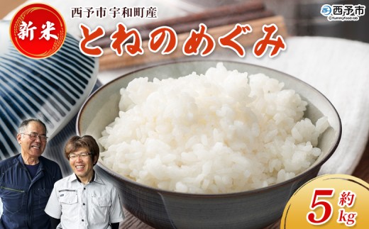 【愛媛県西予市】新米<令和7年産 とねのめぐみ 約5kg 西予市宇和町産> 5キロ 白米 精米 お米 コメ こめ 宇和米 新米 うわまい ご飯 ごはん ライス 送料無料 産地直送 加茂ファーム 愛媛県 西