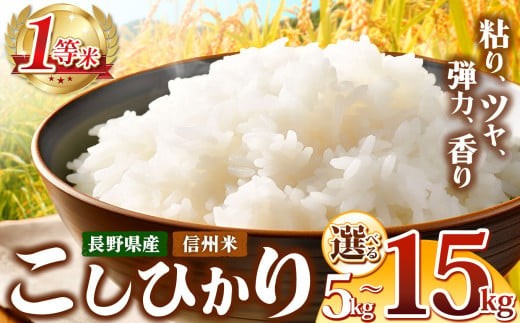 y쌧Kszߘa7NY V MB Ђ  Iׂe 5kg ` 15kg 쌧Y |  RVqJ    MB 5kg 10kg 15kg Yi Ks 쌧 MB