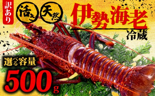 ym{szɐCV 500gȏ CZGr ɐGr CV Gr Mtg  蕨 VR  C̍K N hg hg  p Ă ` X`  ①  m {s GK015