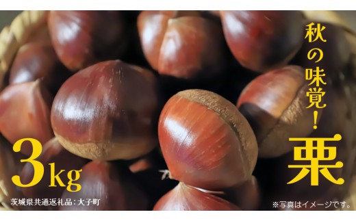 y錧vszH̖ou I v3kg y2026N9{Jnz(錧ʕԗiFq)   } ʕ XC[c u IƂ I ĂI ÌI