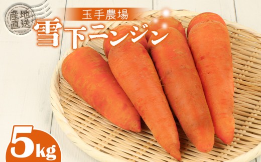 【北海道留寿都村】玉手農場 雪下にんじん 5kg 人参 にんじん ニンジン 越冬 オンライン 申請 ふるさと納税 北海道 留寿都 野菜 旬野菜 季節野菜 甘い みずみずしい 産地直送 新鮮 採れたて