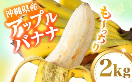 アップルバナナ 2kg 【2026年発送】タカエス フルーツ＆ベジタブル