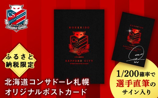 2021 北海道コンサドーレ札幌 直筆サインカード チャナティップ 2025年最新】Yahoo!オークション -チャナティップの中古品・新品
