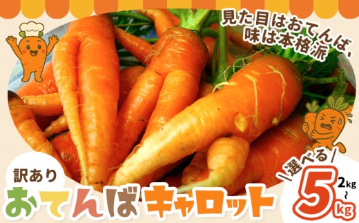 人参 訳あり にんじん ニンジン キャロット 2kg 5kg《12月中旬-3月上旬