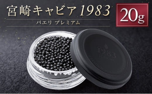 y{茧Vxz{LrA1983 oG v~A v20g i   YyE249z