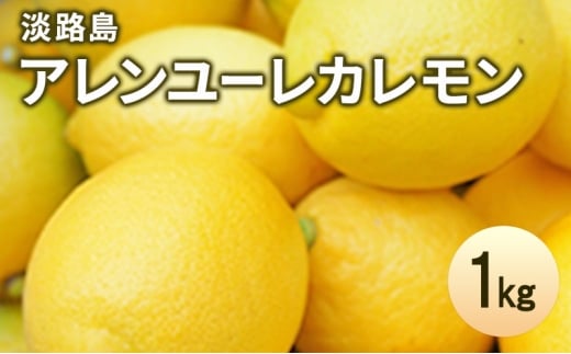 yɌF{szWHA[J1kg EG   Ɍ F{s WH [5395-0308]