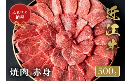 yꌧČszyaZuz ߍ] ē Ԑg 500g [5694-1072]