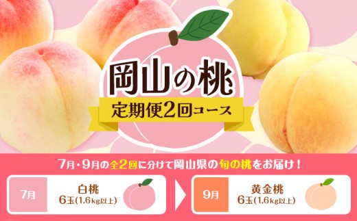 yR}szy2ցz R̓ 2񺰽 RY R  ЎRs2026N7{-9oׁtR }s t[c ʕ   񂹁yz