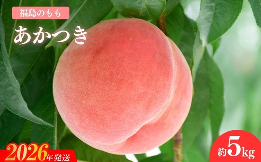 yszNo.2296̂uv5kgy2026N s\z