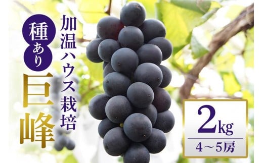 y錧Ήszy 2026N s\ z unEX͔|v  2kgi 킠 j vƂԂǂ 2[ Ԃǂ uhE L@ 엿 nEX ͔| Y ʕ   t[c 2L 8 9 