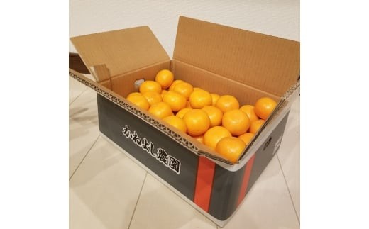 ya̎RzM250@˂悵_݂T@rTCY