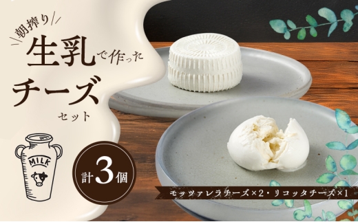 yɌF{sz`[YsU[NX 萶ōbc@`[Y2Rb^`[Y1Zbg Ɍ F{s WH [5395-0425]