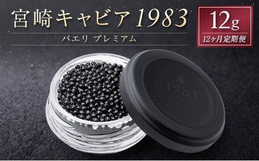 y{茧Vxzm12ցn{LrA1983 oG v~A 12g ×v12 i   YyG56z