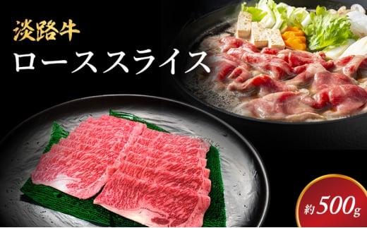 yɌF{szWH[XXCXi500j Ɍ F{s WH [5395-0236]