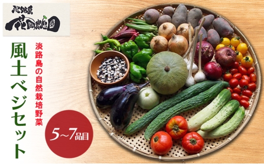 yɌF{szWH̎R͔| yxWZbg 5`7i Ɍ F{s WH [5395-0401]